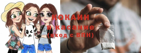 спиды Богородск