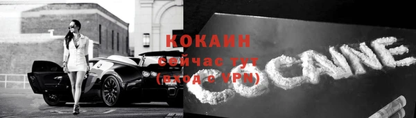 спиды Богородск