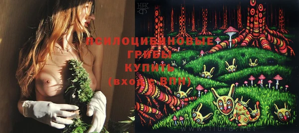 прущая мука Богданович