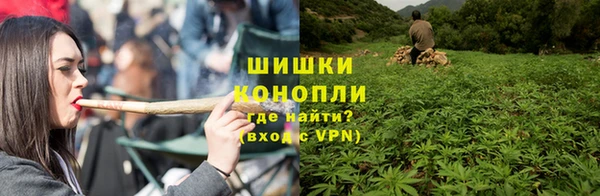 прущая мука Богданович