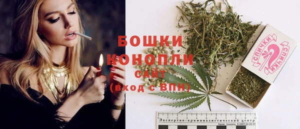 спиды Богородск