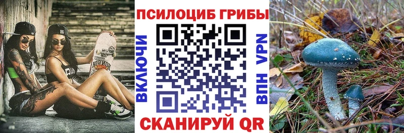 что такое наркотик Кольчугино Галлюциногенные грибы Magic Shrooms