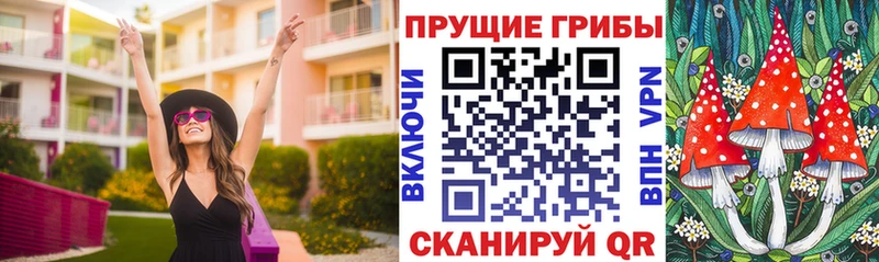Галлюциногенные грибы MAGIC MUSHROOMS Кольчугино